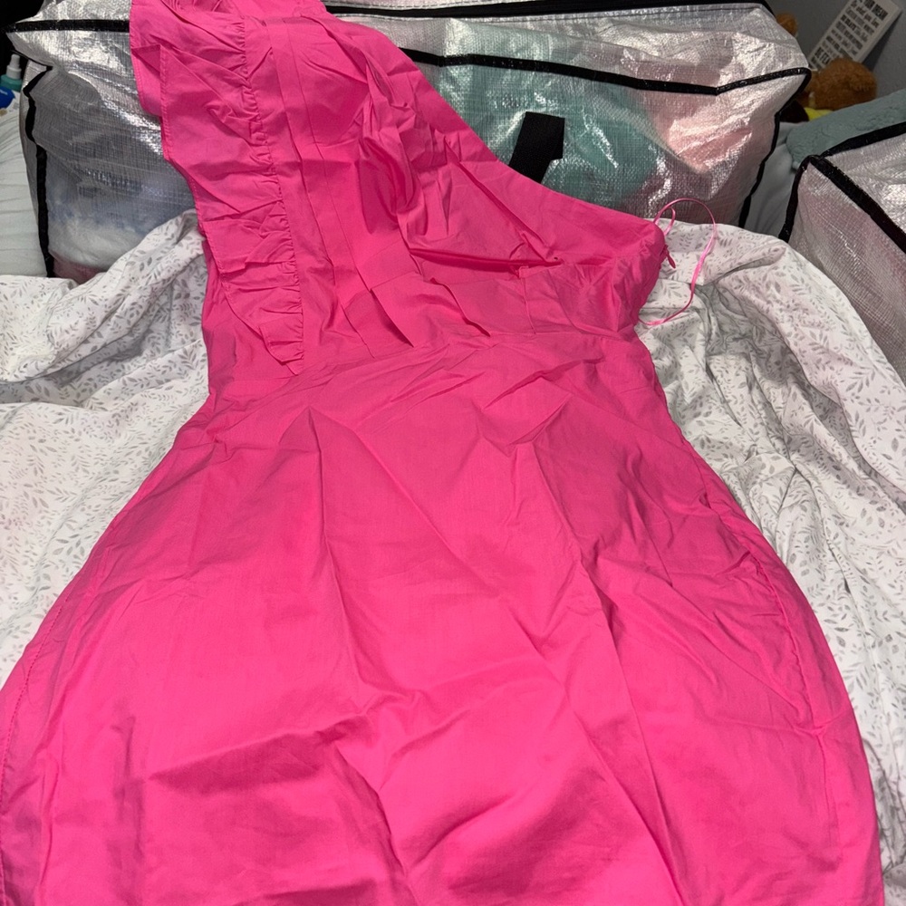 Hello Molly Fuchsia Dress